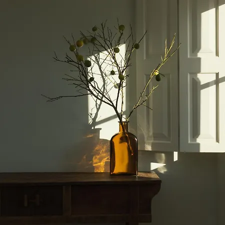 Libere Laranjais Πόρτο