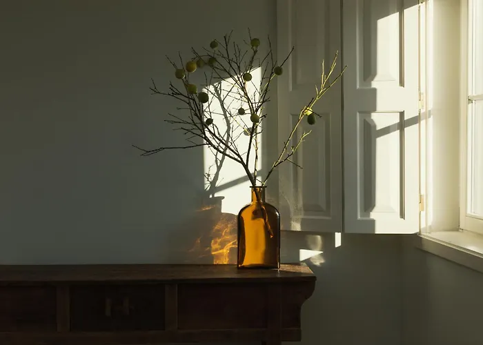 Libere Laranjais Porto